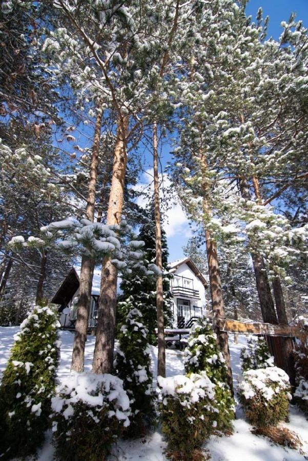 Apartments Breza Zlatibor Exterior foto